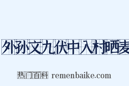 外孙文九伏中入村晒麦是什么意思的图片